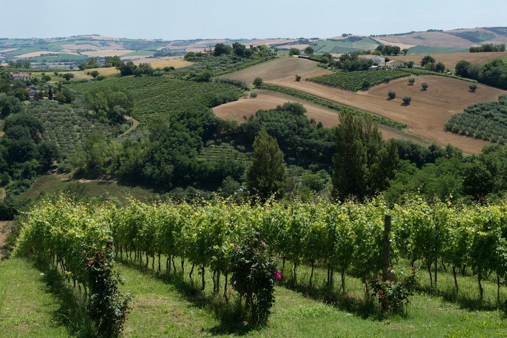 Villa Poggio Montali Monte Roberto Esterno foto